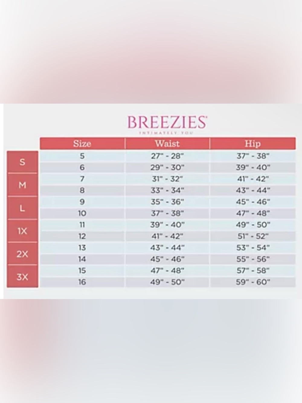 Breezies Nylon Microfiber Panties